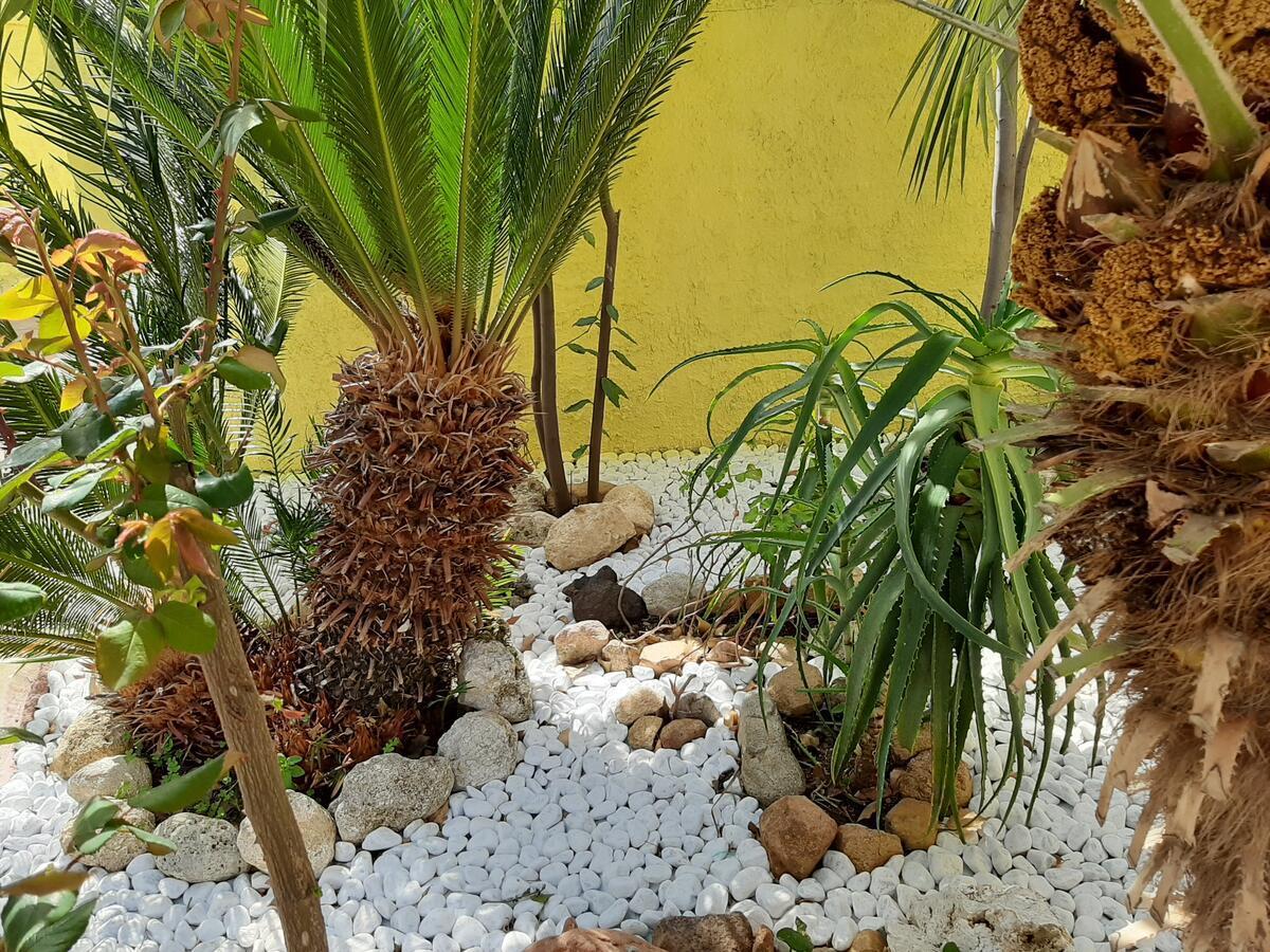 קפיטנה Artistika Golden Apartment מראה חיצוני תמונה
