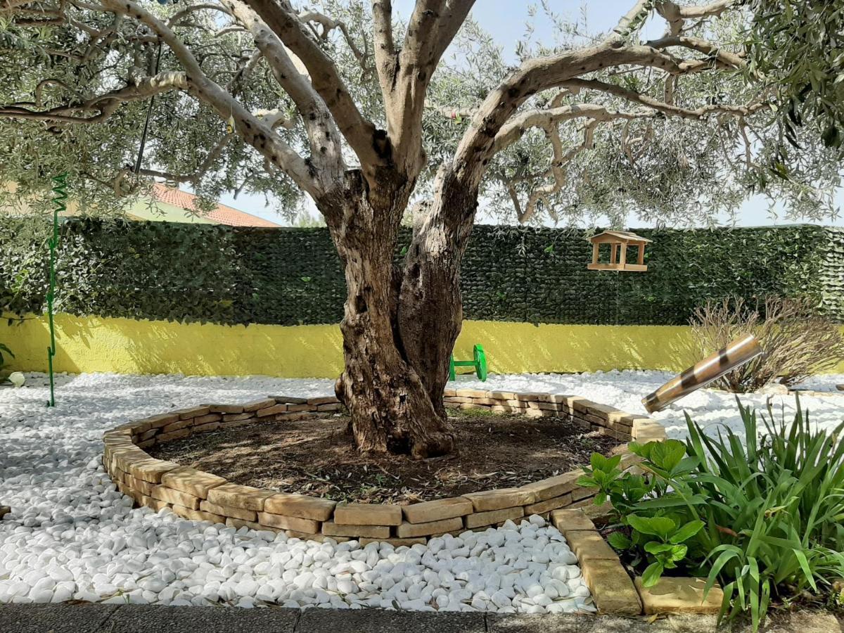 קפיטנה Artistika Golden Apartment מראה חיצוני תמונה