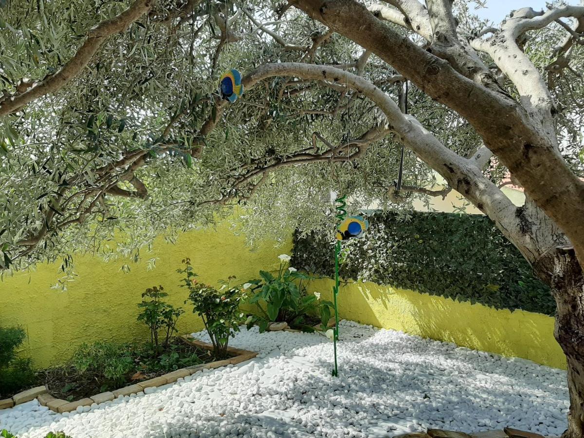 קפיטנה Artistika Golden Apartment מראה חיצוני תמונה